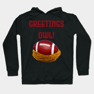 Greetings Owl! Hoodie